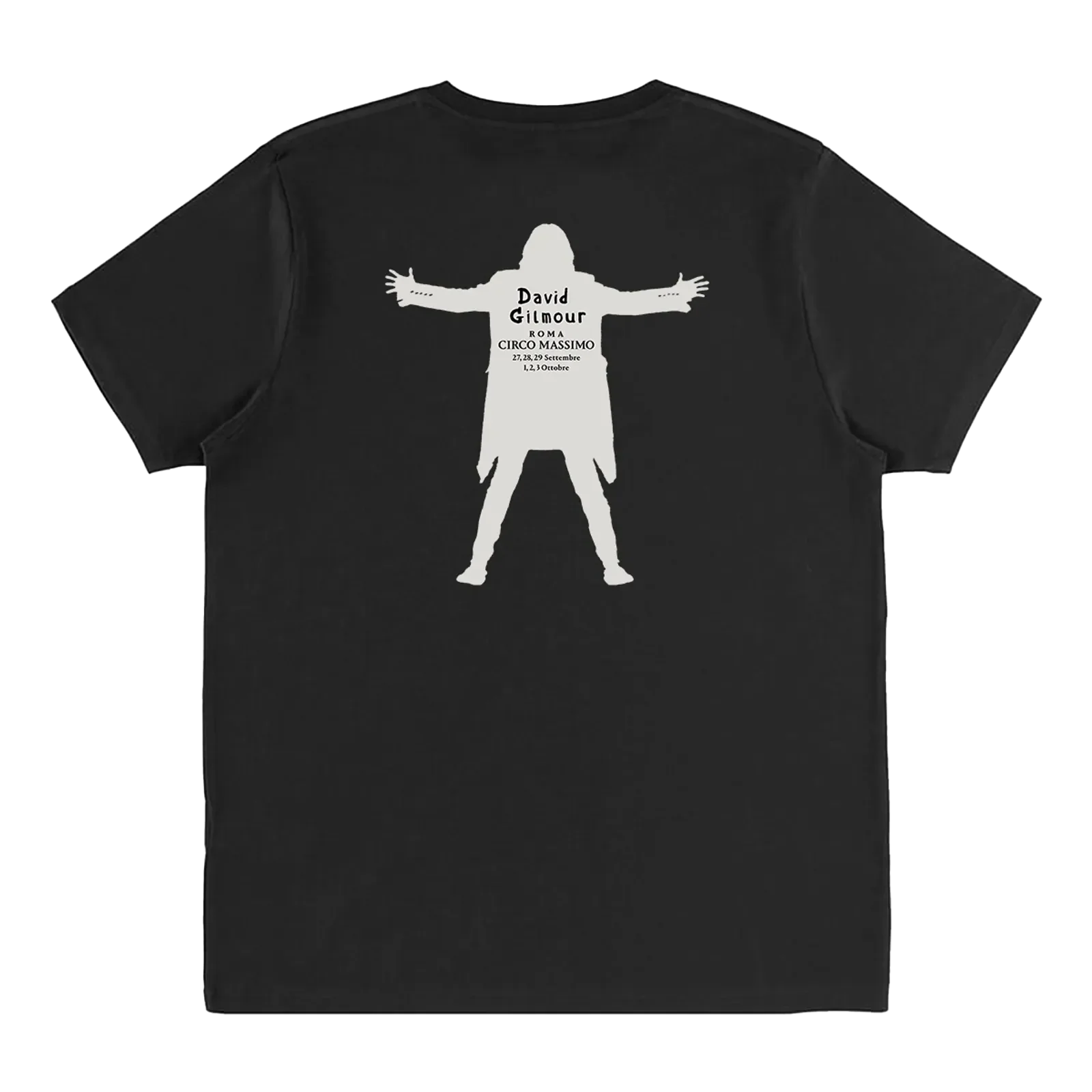 David Gilmour Luck and Strange Italian T-Shirt - Image 2