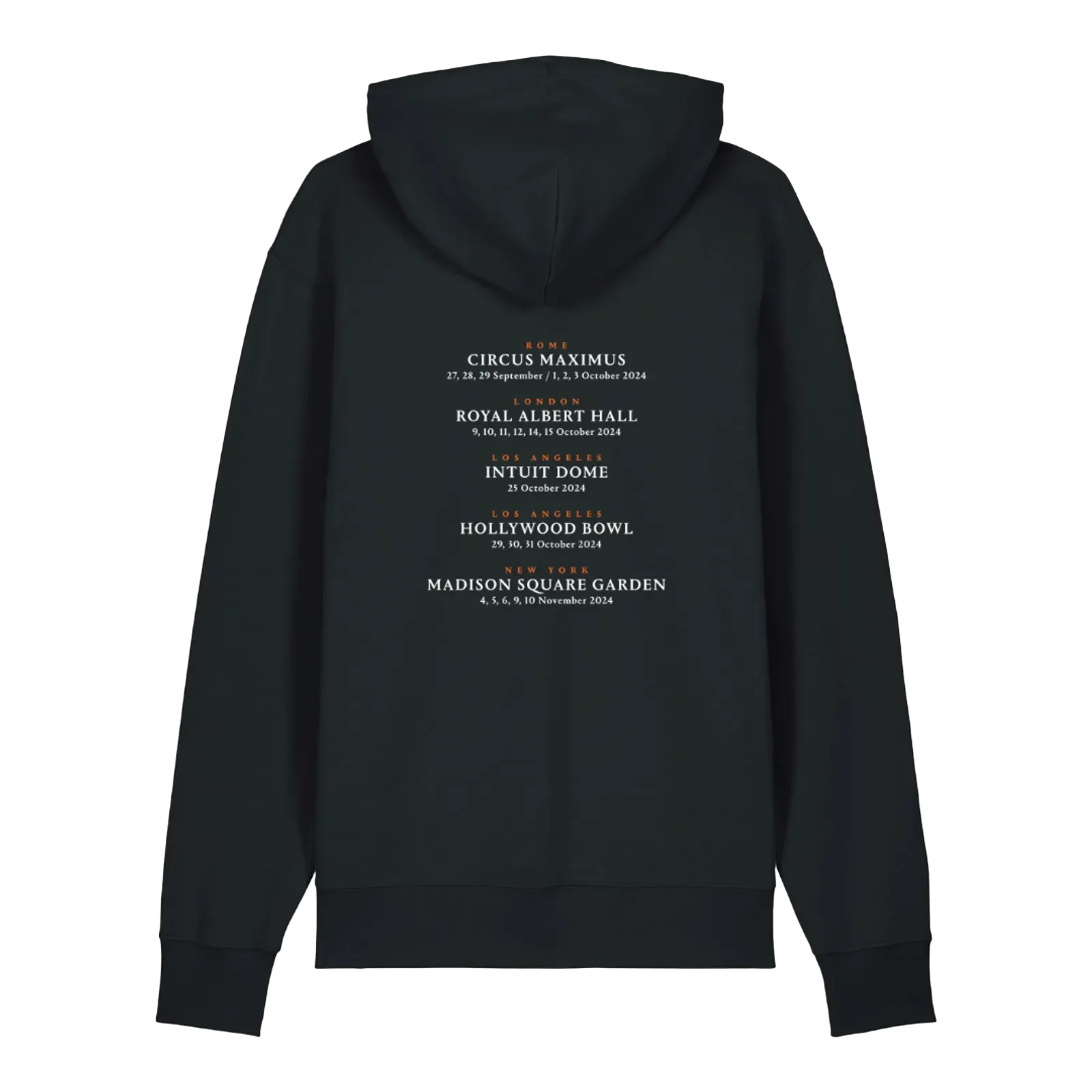 Luck and Strange in Concert Photo Premium Hoodie - Image 2
