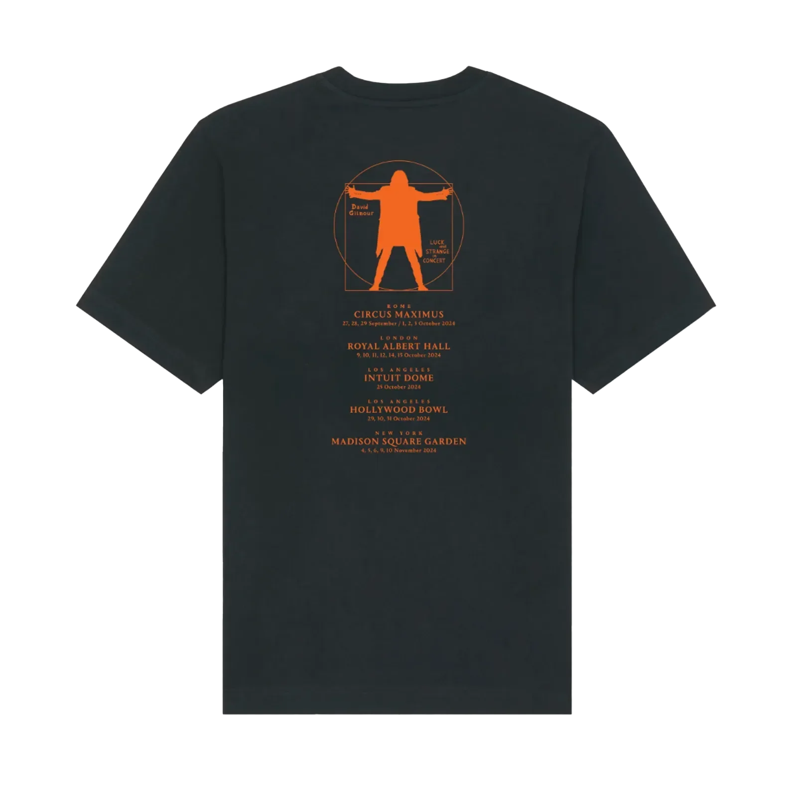 Luck and Strange in Concert Premium T-Shirt - Image 2